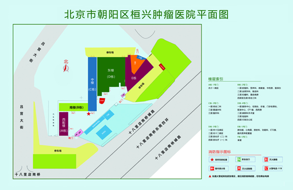 操外国北京市朝阳区桓兴肿瘤医院平面图